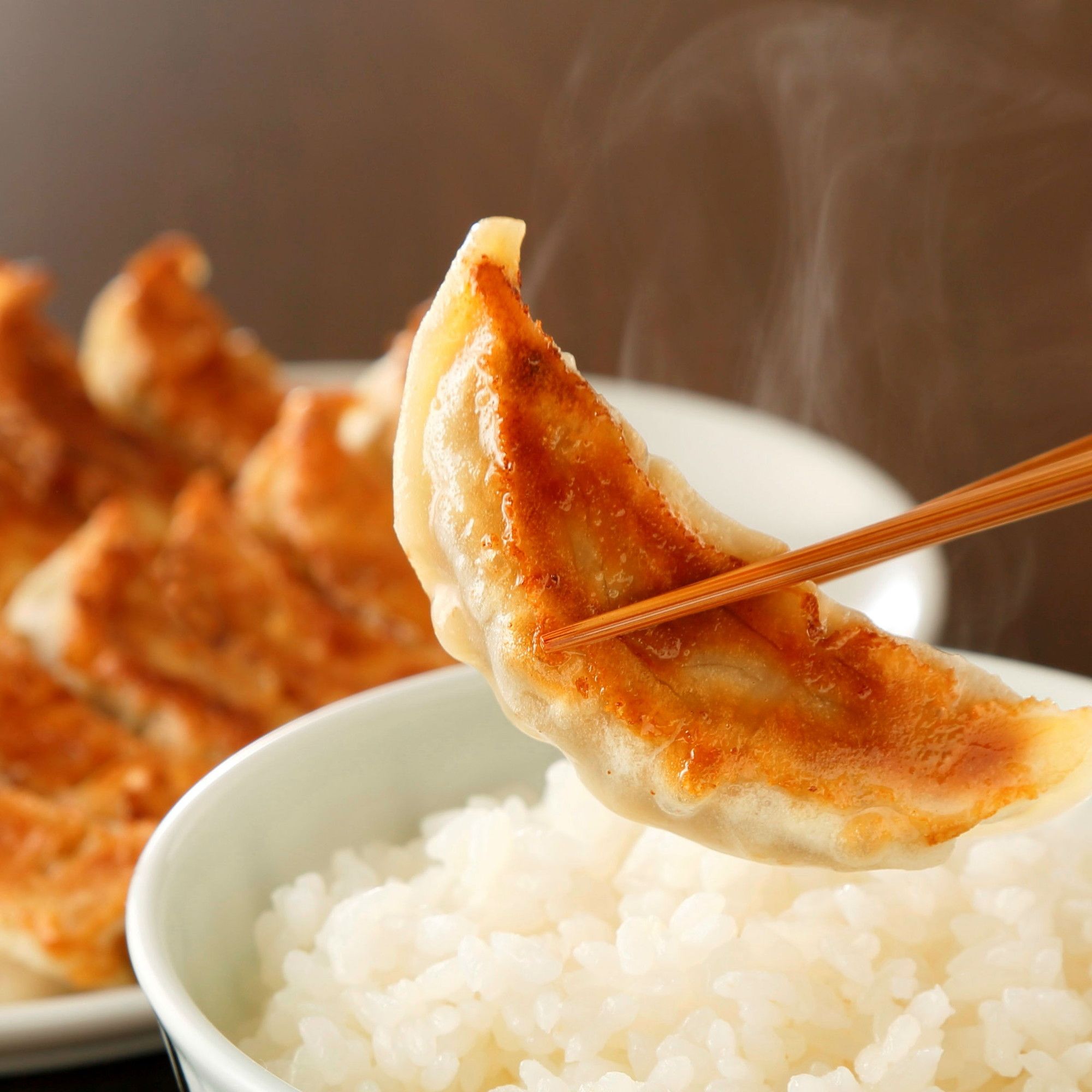 ＜信念フーズ＞信念手造り餃子セット　12個入り×2パック